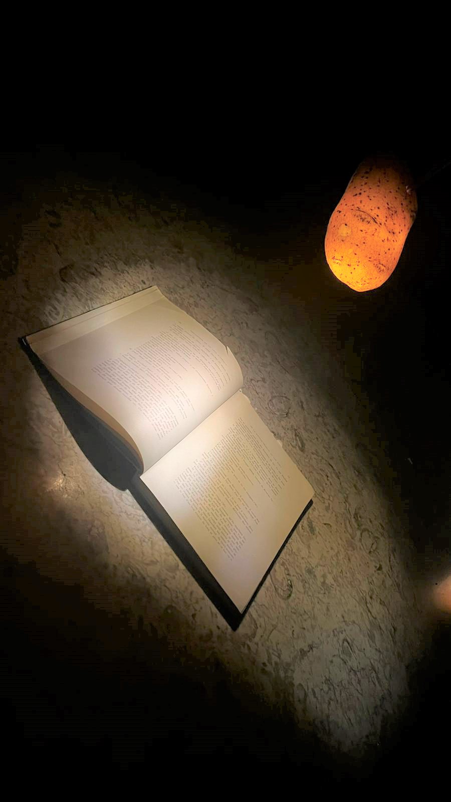 2026-09-03 – INAUGURAÇÃO DA EXPOSIÇÃO “ILUMINAÇÕES DA ALA OCIDENTAL DA RELAÇÃO DE LISBOA” DE SANCHO SILVA – CICLO ARTE E PATRIMÓNIO (CURADORIA DE EDUARDO PETERSEN) – ARTE NO TRIBUNAL DA RELAÇÃO DE LISBOA